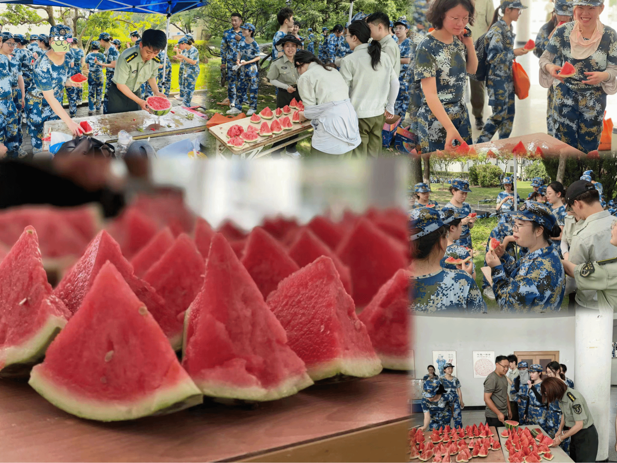 图片15.png
